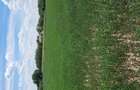 Vand teren intravilan - 2