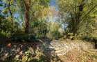 Vila 474 mp utili deschidere direct lac Snagov 1250 mp teren - 17