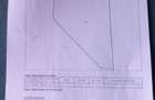 PADURE Fag 80-100 ANI - 4