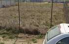 Teren de vanzare Comuna Berceni zona Primaverii - 3