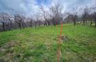 Teren 4.400 mp Comarnic | lini?te, priveli?te ?i intimitate! [ 16 NEGOCIABIL ] - 1