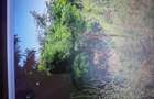 Teren Intravilan 488mp,Front 28m-Cernica,Sat Posta Pre? 28.000 euro - 4