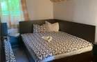 Cabana la munte, Colibita, jacuzzi, foisor - 6