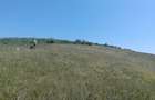 Teren extravilan 5.800 mp Apahida, Cluj - 4