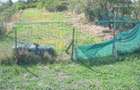 Casa com. Barasti, jud. OLT - URGENT - 6