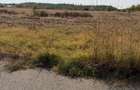 Teren Intravilan de vanzare-Cornetu, Str. Trandafirilor-7500 mp