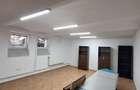Inchiriez demisol zona Elisabetin - 7