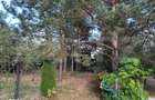 Casa de vanzare, 207 mp, 6000 mp teren, zona Coltesti