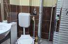 Vanzare Proprietate la poalele Muntilor Bucegi- Moroeni Dambovita - 11
