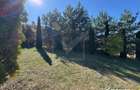 Vila in Faget, zona Vila Tusa, 400 mp, 2412 mp teren