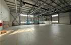 Royal Imobiliare-  Spatiu Industrial Zona Exterior Vest - 7