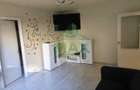 Apartament 2 camere , confort 2 nedecomandat – Zona Malu Rosu, str Sergent Matee - 2