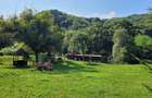Oportunitate, Restaurant cu MiniPensiune 800mp, 1,8ha teren, Via Transilvanica