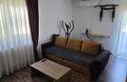 Apartament 2 camere decomandat Manastur, zona Academia de Muzica - 11