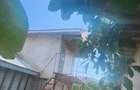 Casa de vanzare, jud. Teleorman - 4