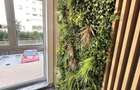 Apartament 2 camere, astorium my home - 11