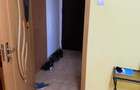 Apartament cu 2 camere semidecomandat în Iancului - 3