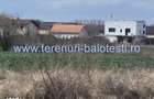 Teren cu gaz si electrica-hotar, 28000 E, padure - 3