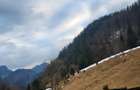 Teren de 3600 mp, în Dâmbovicioara - 5