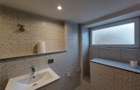 OCAZIE pentru investitie! Apartament renovat ultracentral, zona Teatru - 8