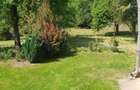 Vila P+E cu teren 2559 mp, vie, garaj, izvor - Borosteni, Gorj - 4