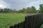 Teren Intravilan de vanzare Baicoi, zona LIiliesti - 7