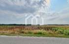 Loc de casă - Teren Intravilan 1000 mp – Jucu de Mijloc - 1