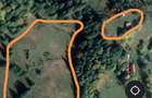 Teren de 35000 mp, în Scărișoara - 1