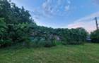 Casă cu 3 camere în Mătăsaru - 7