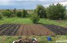 Casă cu 5 camere cu Teren 2000 Mp în Petrăchioaia