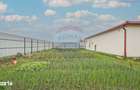 COMISION 0% | Casa pe structura de lemn | Podul Olt | 52 mp utili | - 1