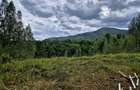 Natura/ Cabana de weekend/liniste, relaxare la Sinca Noua Brasov