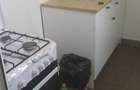 Inchiriez casa la curte petru 8 muncitori Sos petricani - 2