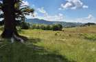 Teren Superb de Vanzare in Holbav, Jud. Brasov - 1773, ACCES FACIL - 7