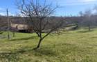 Teren intravilan 2330 mp, comuna Bran, sat Sohodol