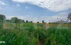 Teren parcelat pentru constructii, 5054.03 mp, zona Cornesti - 3