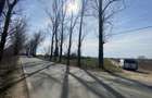 Teren intravilan | 5000 mp | Snagov