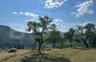Casa tradi?ionala lini?te, natura ?i panorama spectaculoasa - 1