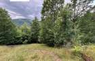 CASA-teren-PADURE-pasune Parva, jud BN - 4