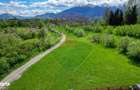 Teren 500mp, intravilan, intre Bran si Zarnesti (Tohanita) - 10