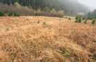 Vand teren Com Ciocanesti , sat Botos ,jud. Suceava