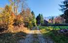 600 mp,800 mp,1000 mp,1600 mp teren Valea Avrigului,Sibiu - 6
