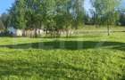 Teren intravilan in Vatra Dornei, 2000 mp