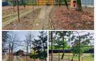 Casa de Vacanta + 3052m2 Teren Intravilan - A1 Olteni / 30 min de Buc - 8
