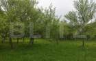 Teren 6500 mp, front 125 ml, utilitati, liniste Ulies, comuna Gura - 3