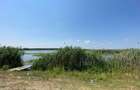 Teren intravilan 17 m deschidere Lac Silistea Snagovului 5000mp - 5