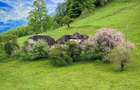Teren de vanzare,in primul sat turistic din Romania! - 2