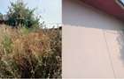 Casa si teren cota parte 1/2 Simionesti, ID: R3482855