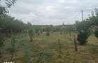 Teren intravilant livada - 3