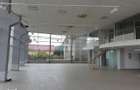 HALA,SPATIU,AUTORIZAT-I.S.U.-SHOWROOM,DEPOZIT-Nicolae Balcescu -BACAU - 8